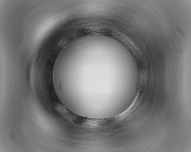 X0000112880190200909041648