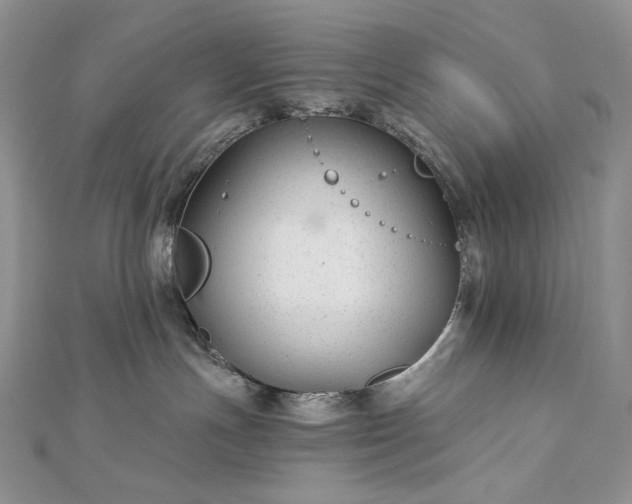 X0000112880191200909041648