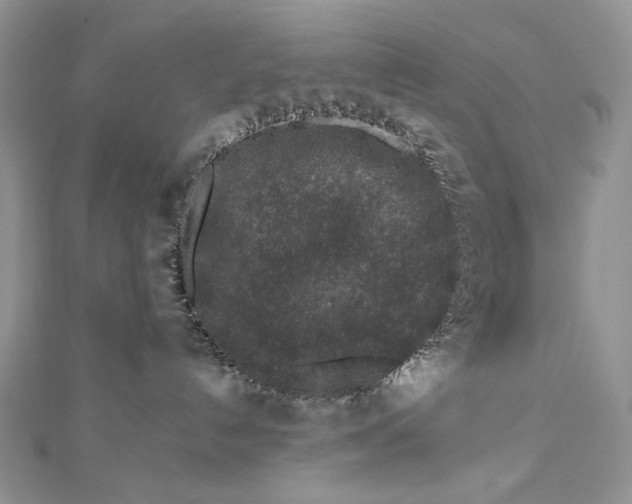 X0000112880192200909041648