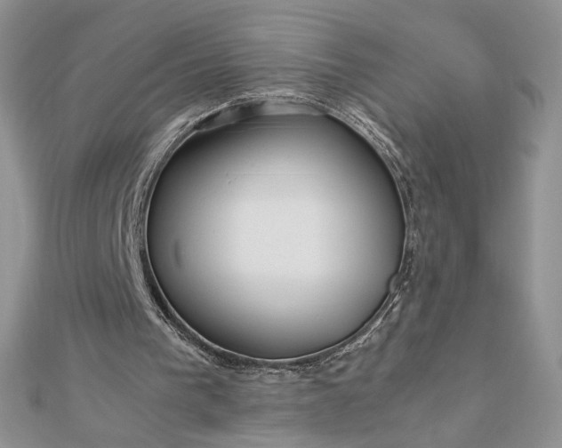 X0000112880193200909041648