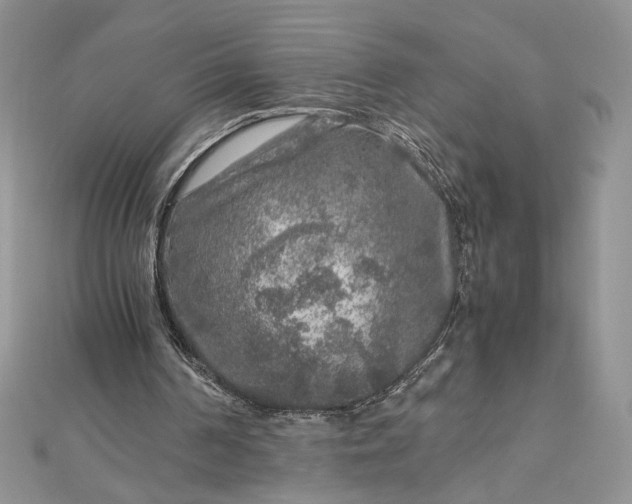 X0000112880194200909041648