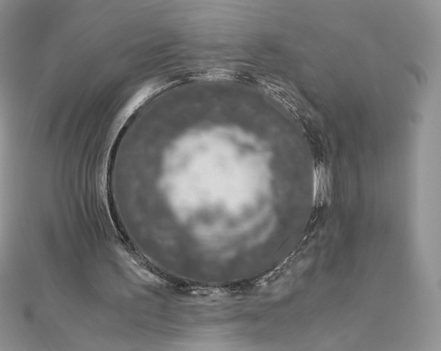 X0000112880195200909041648