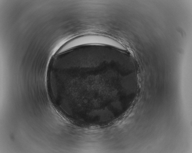 X0000112880196200909041648