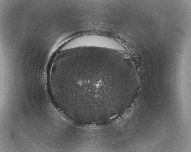 X0000112880198200909041648