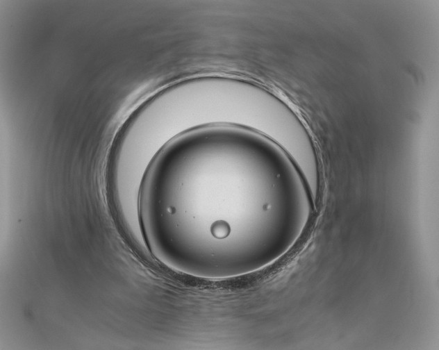 X0000112880199200909041648