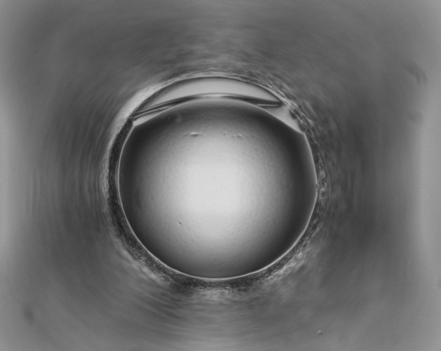 X0000112880200200909041648