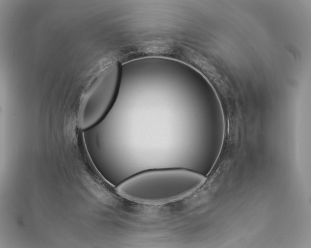 X0000112880201200909041648