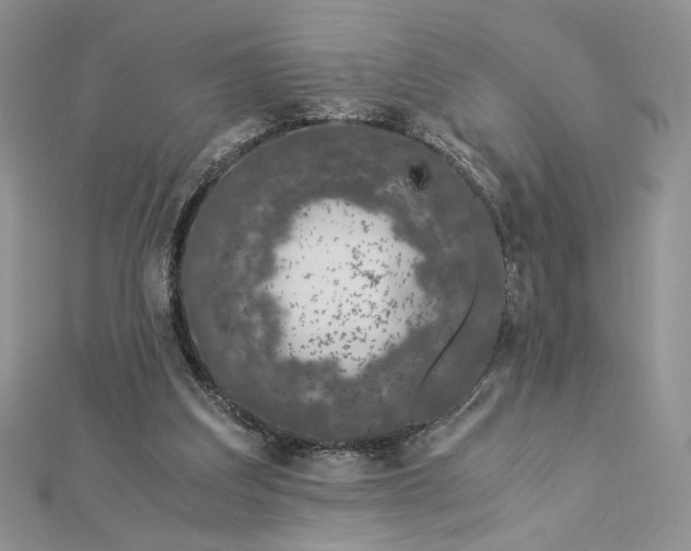 X0000112880203200909041648