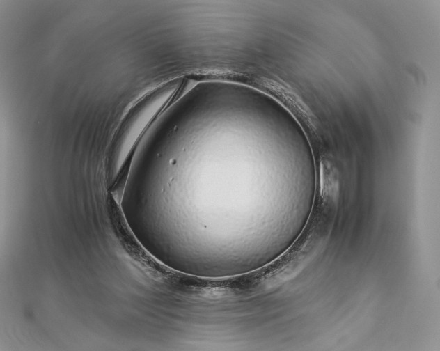 X0000112880204200909041648