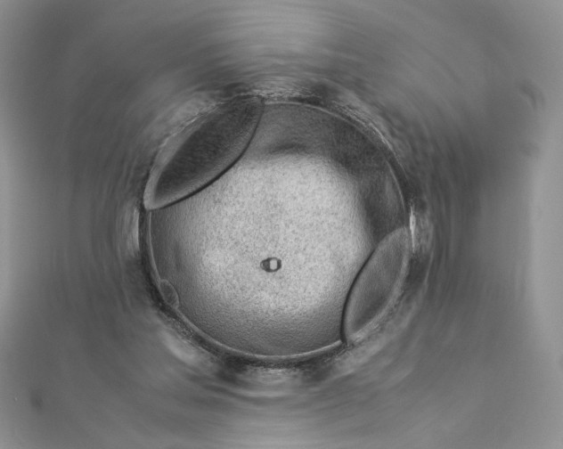 X0000112880205200909041648