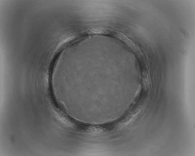 X0000112880207200909041648