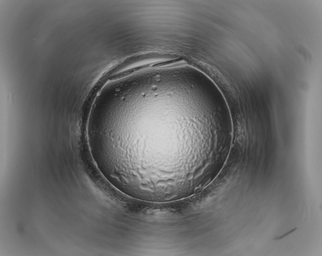 X0000112880208200909041648