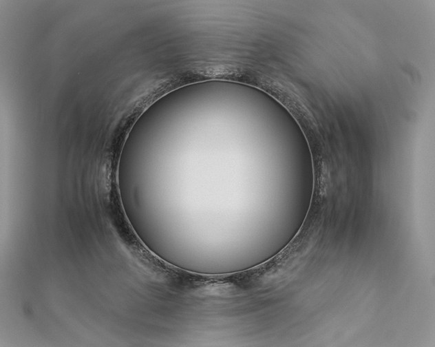 X0000112880210200909041648