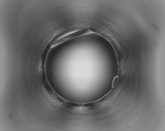 X0000112880212200909041648