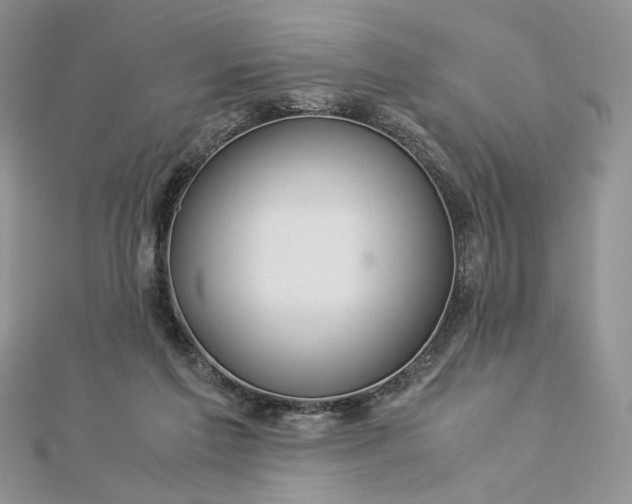 X0000112880213200909041648