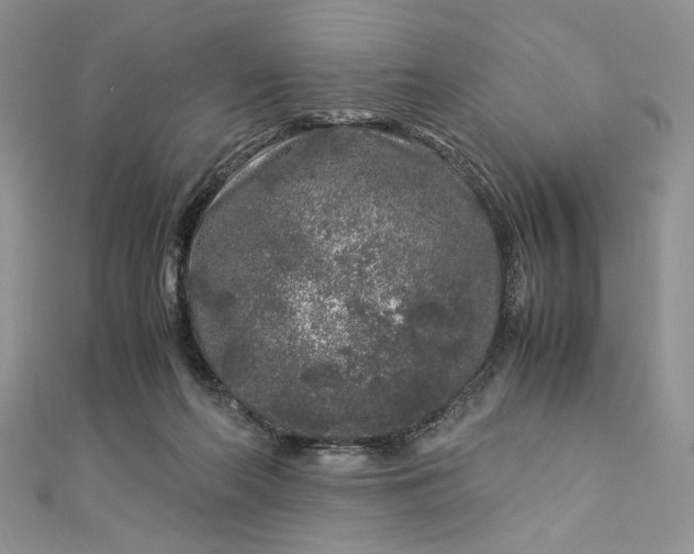 X0000112880214200909041648