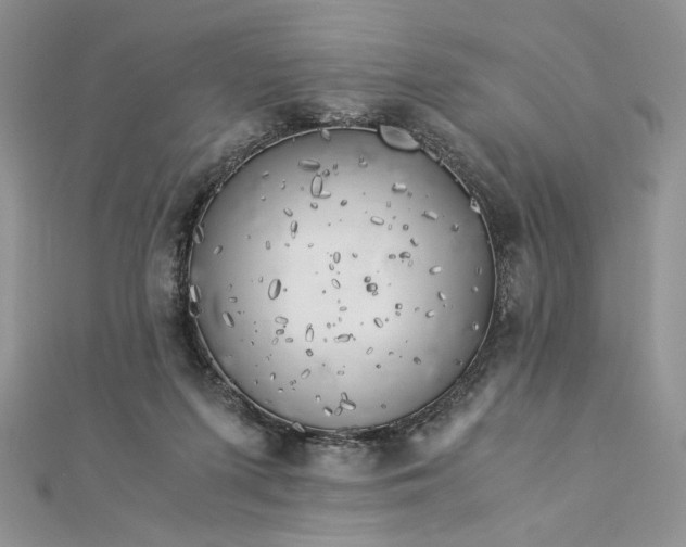 X0000112880215200909041648