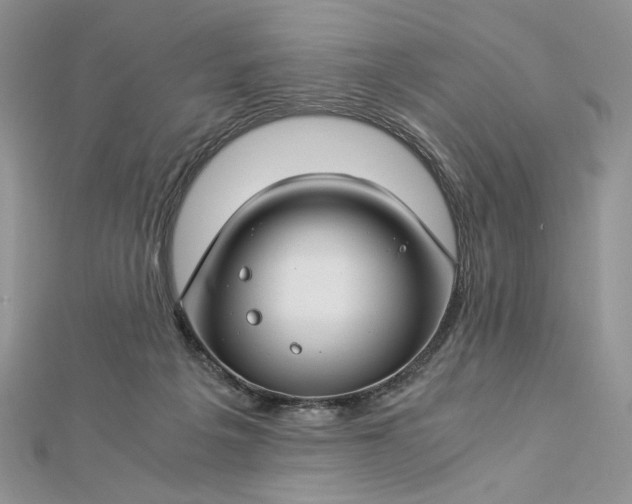 X0000112880217200909041648