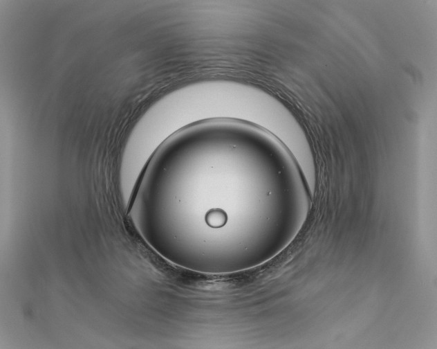 X0000112880219200909041648