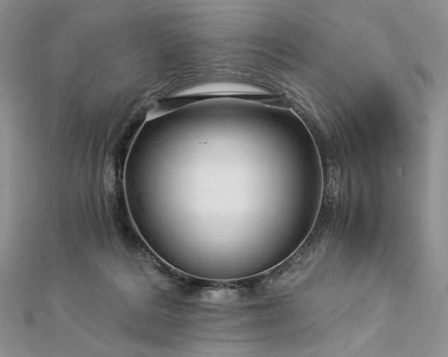 X0000112880220200909041648