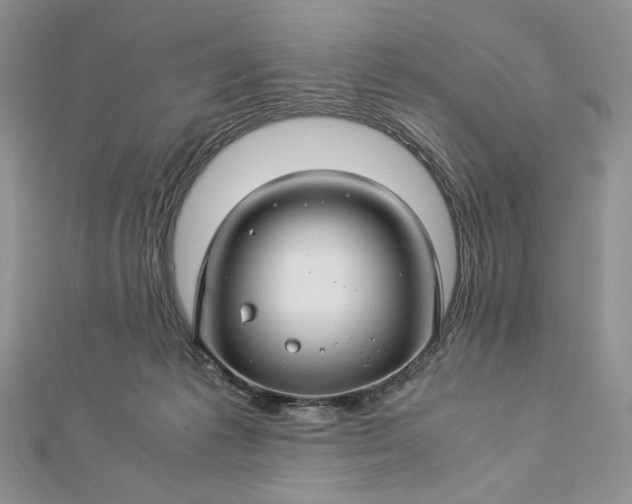 X0000112880221200909041647