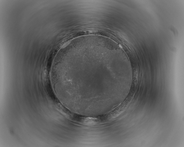 X0000112880222200909041647