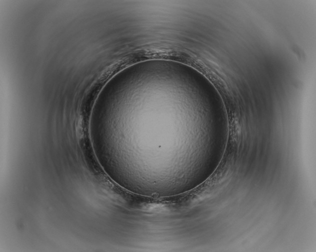 X0000112880224200909041647