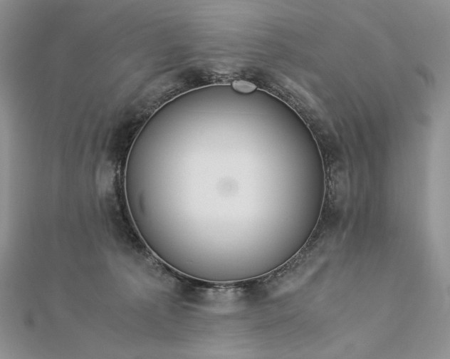 X0000112880225200909041647