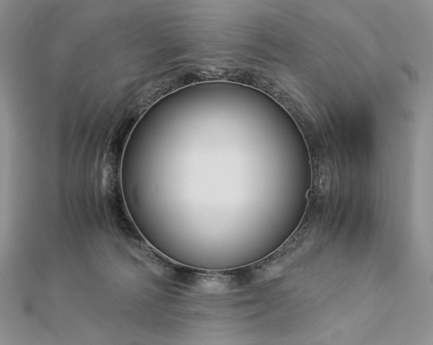 X0000112880226200909041647