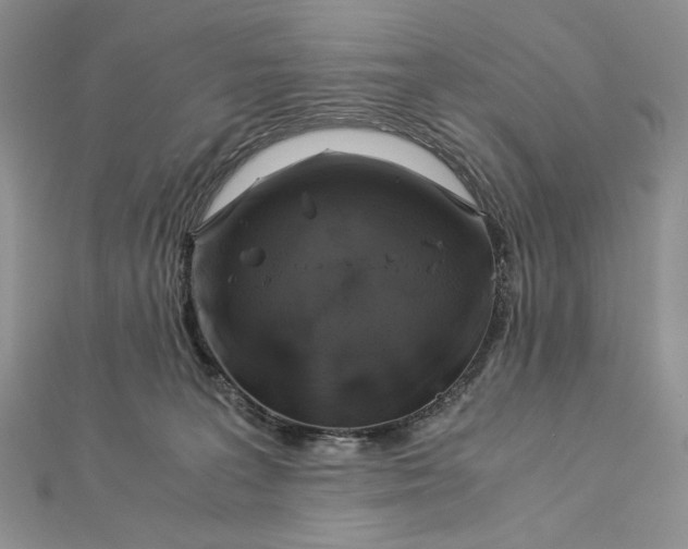 X0000112880227200909041647