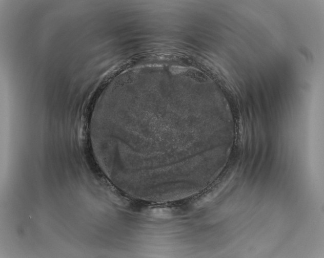 X0000112880228200909041647