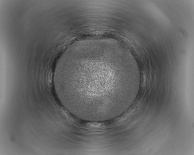 X0000112880230200909041647