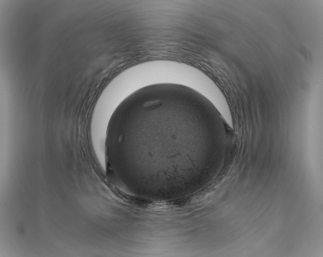 X0000112880231200909041647