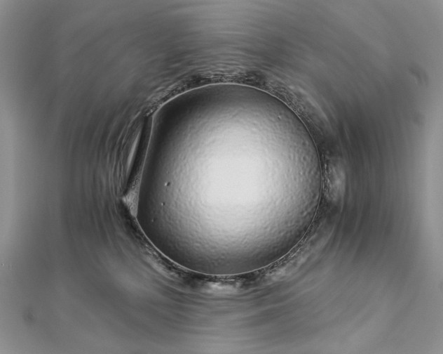 X0000112880232200909041647