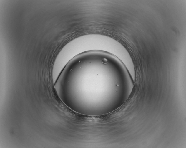 X0000112880233200909041647