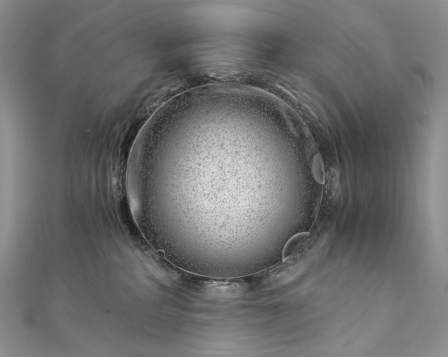 X0000112880234200909041647