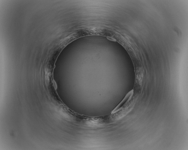 X0000112880235200909041647