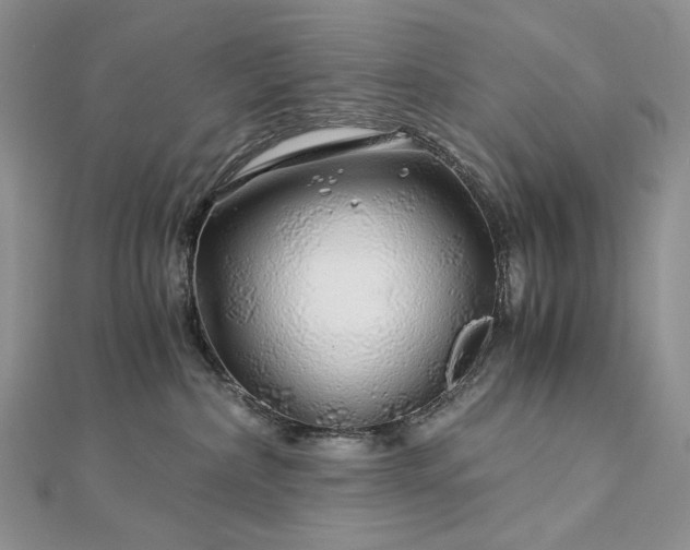 X0000112880236200909041647