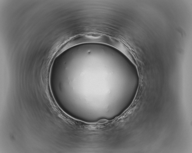 X0000112880241200909041647