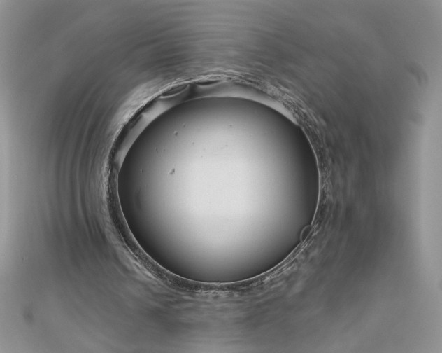 X0000112880242200909041647