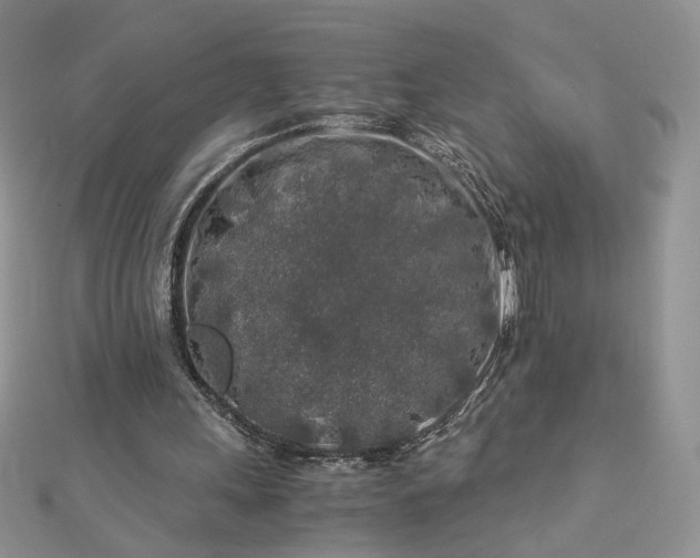 X0000112880243200909041647