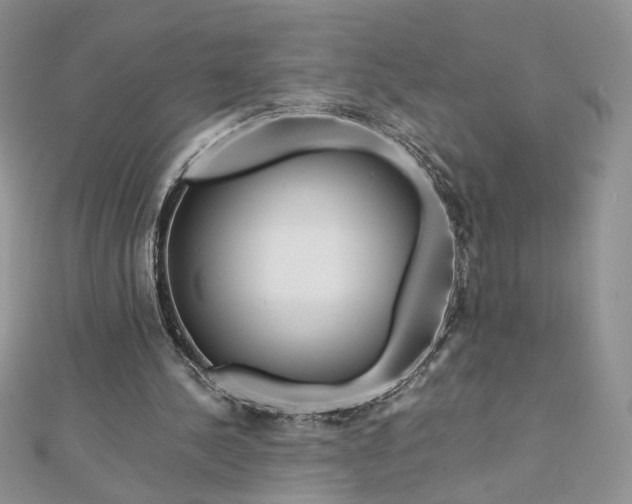 X0000112880244200909041647