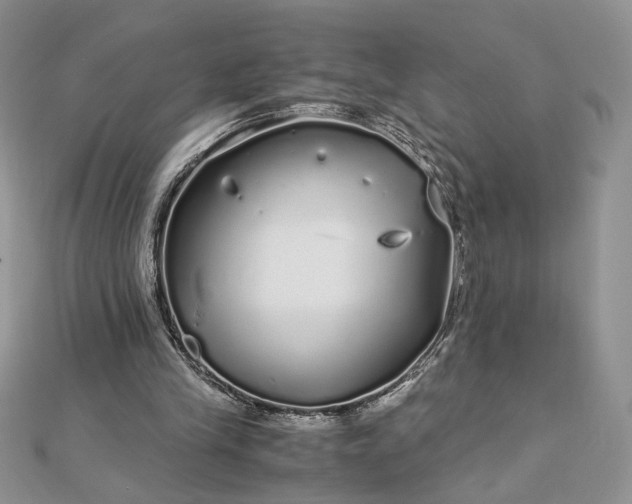 X0000112880245200909041647