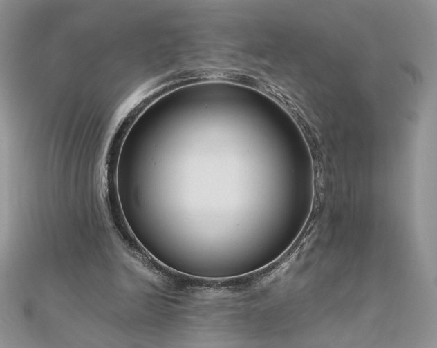 X0000112880246200909041647