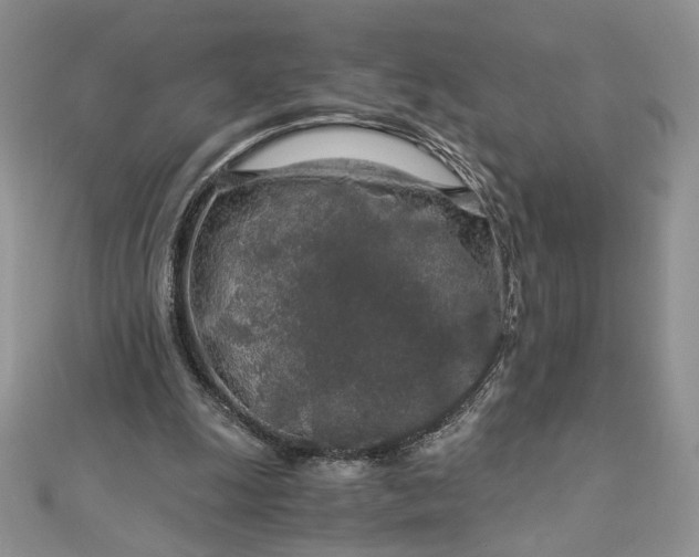 X0000112880247200909041647