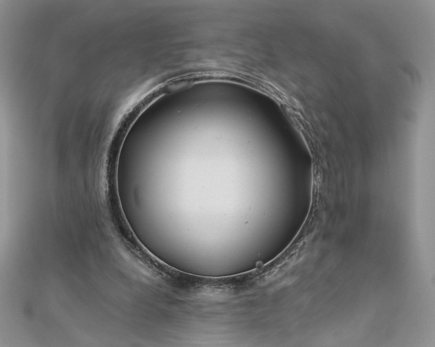 X0000112880248200909041647