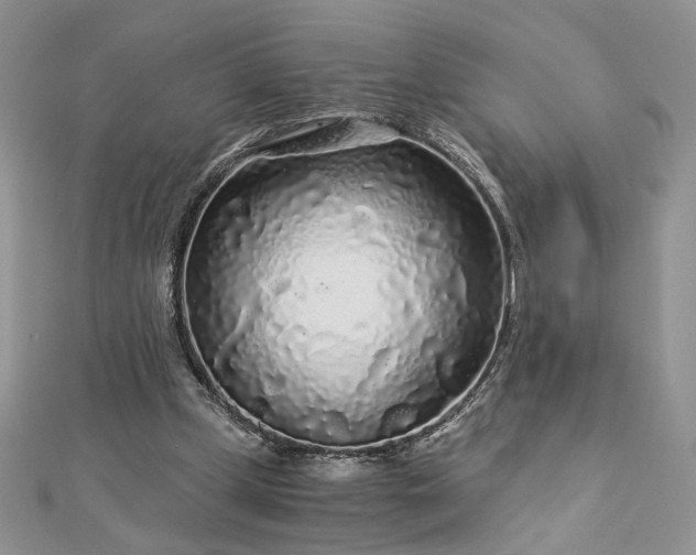 X0000112880249200909041647