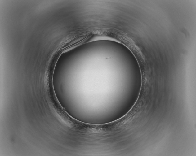 X0000112880250200909041647