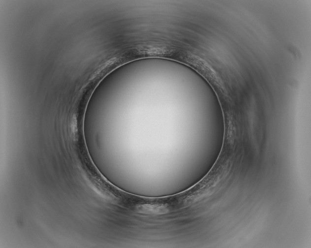 X0000112880251200909041647