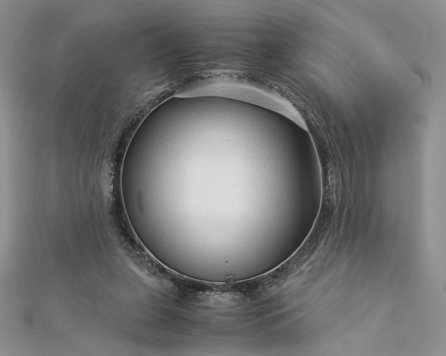 X0000112880255200909041647